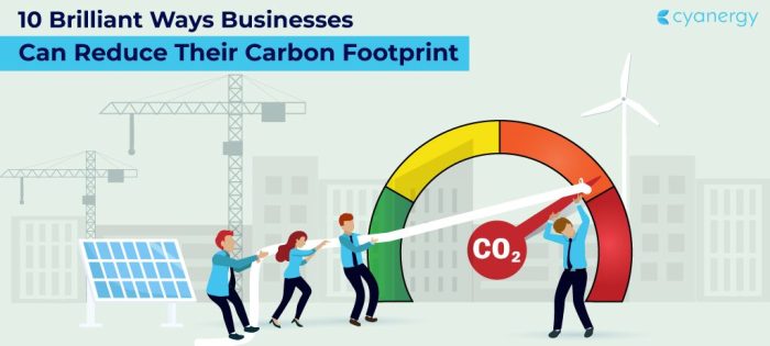 10 Brilliant Ways Businesses Can Reduce Their Carbon Footprint - Cyanergy