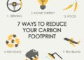 7 ways to reduce your carbon footprint - Hive Energy