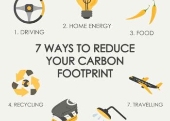 7 ways to reduce your carbon footprint - Hive Energy