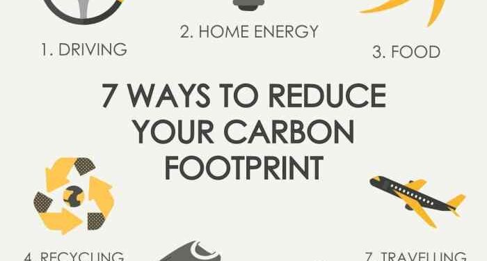 7 ways to reduce your carbon footprint - Hive Energy